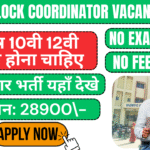 Bihar Block Coordinator blank 2025